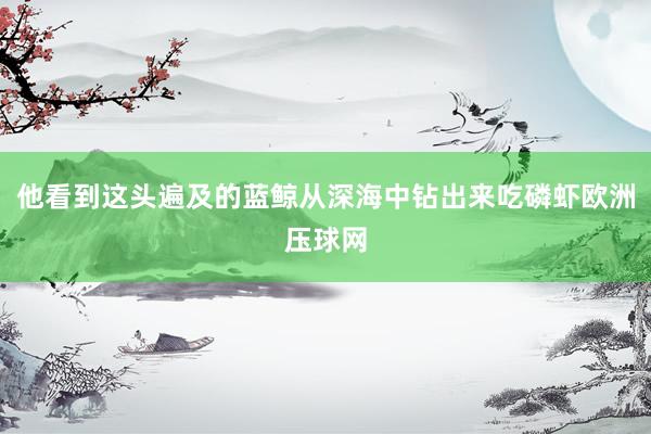 他看到这头遍及的蓝鲸从深海中钻出来吃磷虾欧洲压球网