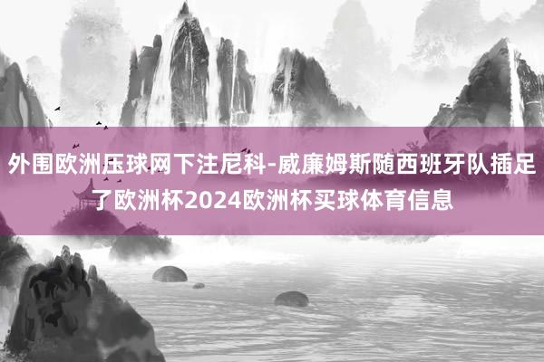 外围欧洲压球网下注尼科-威廉姆斯随西班牙队插足了欧洲杯2024欧洲杯买球体育信息