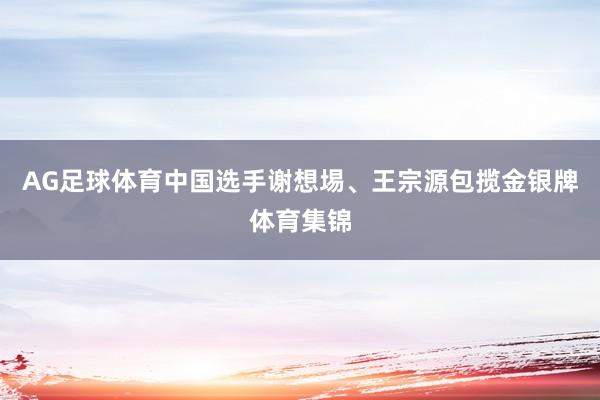 AG足球体育中国选手谢想埸、王宗源包揽金银牌体育集锦