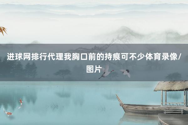 进球网排行代理我胸口前的持痕可不少体育录像/图片