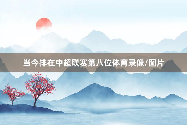 当今排在中超联赛第八位体育录像/图片