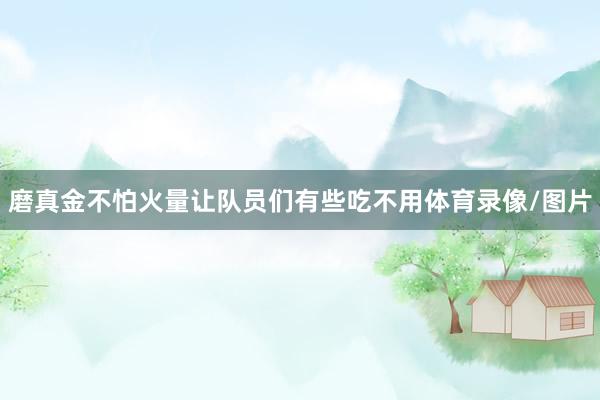 磨真金不怕火量让队员们有些吃不用体育录像/图片