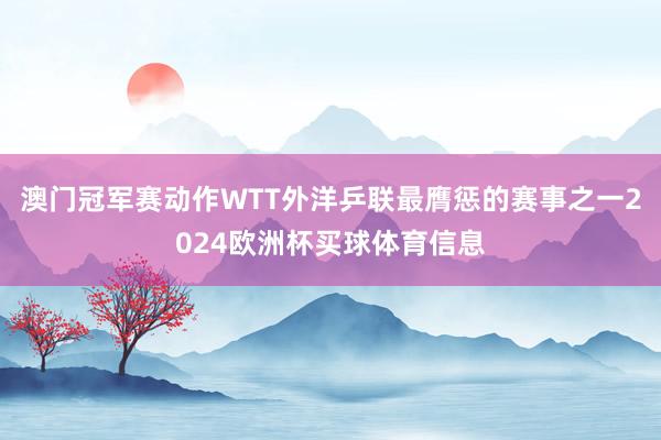 澳门冠军赛动作WTT外洋乒联最膺惩的赛事之一2024欧洲杯买球体育信息