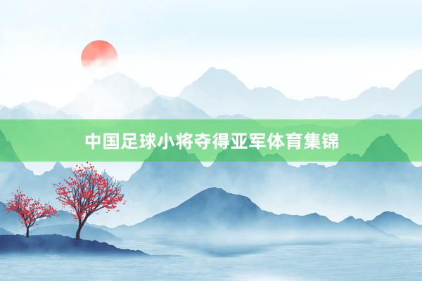 中国足球小将夺得亚军体育集锦