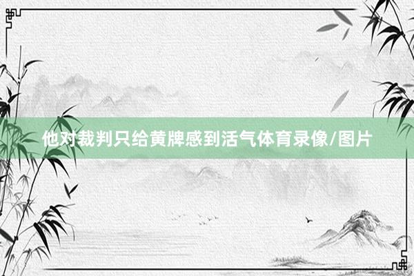 他对裁判只给黄牌感到活气体育录像/图片