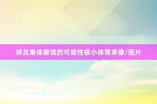 球员集体撒谎的可能性极小体育录像/图片