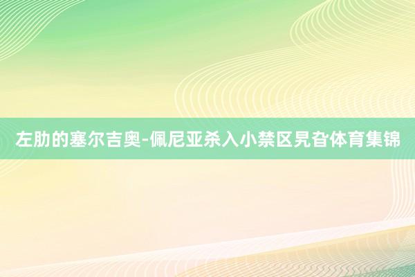 左肋的塞尔吉奥-佩尼亚杀入小禁区旯旮体育集锦