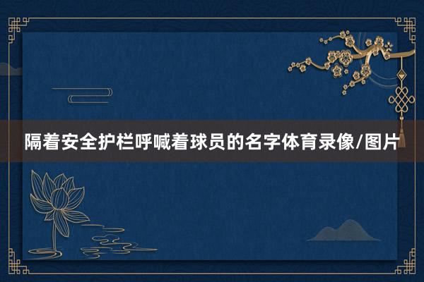隔着安全护栏呼喊着球员的名字体育录像/图片