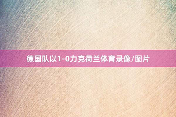 德国队以1-0力克荷兰体育录像/图片