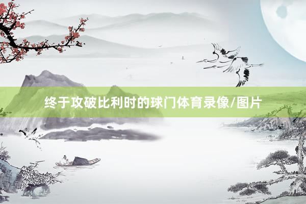 终于攻破比利时的球门体育录像/图片