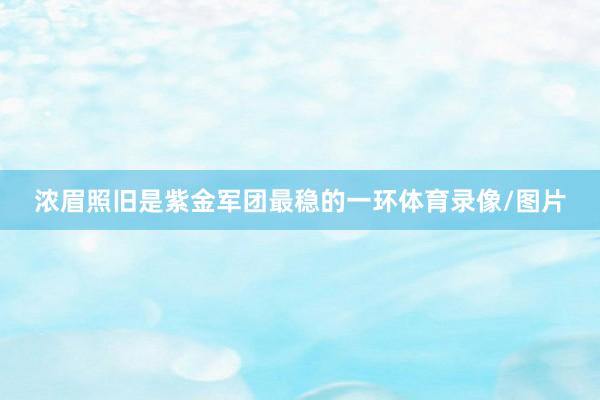 浓眉照旧是紫金军团最稳的一环体育录像/图片