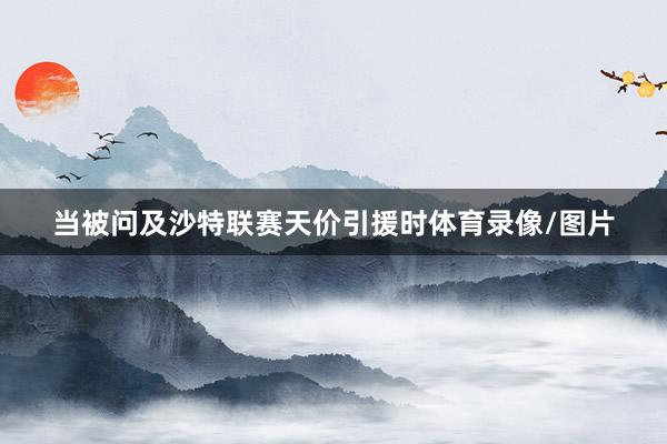 当被问及沙特联赛天价引援时体育录像/图片