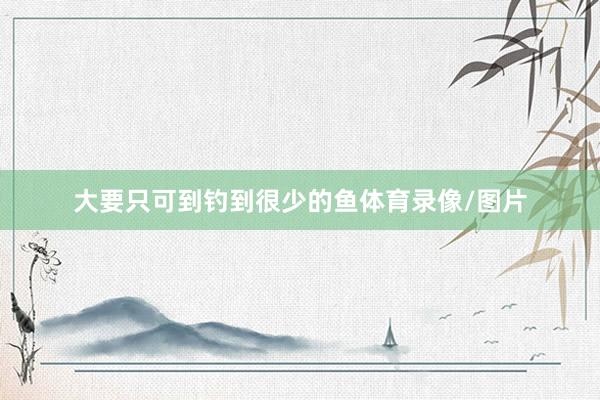 大要只可到钓到很少的鱼体育录像/图片