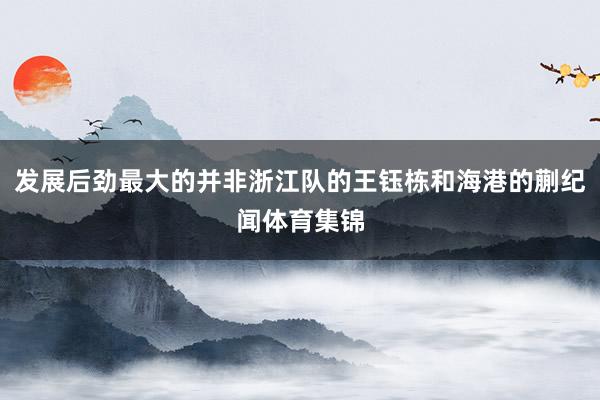 发展后劲最大的并非浙江队的王钰栋和海港的蒯纪闻体育集锦