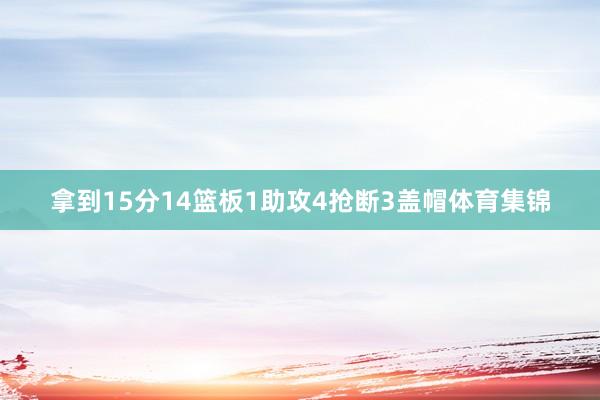 拿到15分14篮板1助攻4抢断3盖帽体育集锦