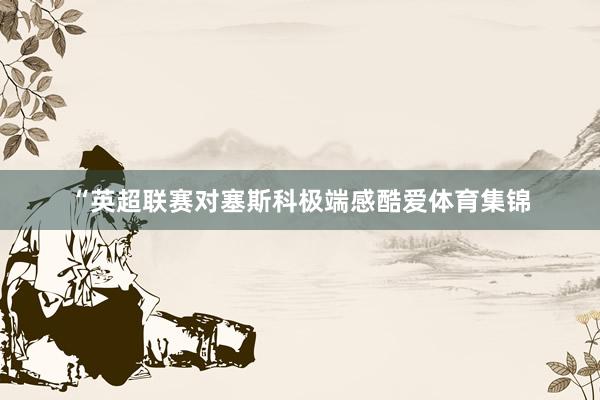 “英超联赛对塞斯科极端感酷爱体育集锦