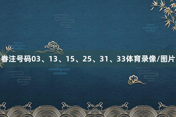 眷注号码03、13、15、25、31、33体育录像/图片